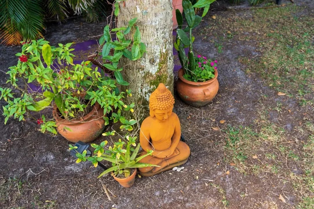 芝生の施工・管理